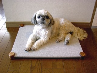 img18945110.jpg