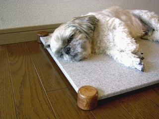 img21674736.jpg